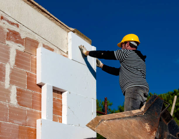 Best Eco-Friendly Insulation in Pamplico, SC