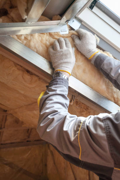 Best Residential Insulation in Pamplico, SC