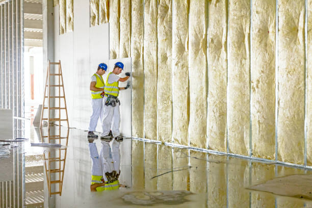 Best Specialized Insulation Services in Pamplico, SC
